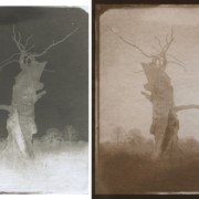 Calotype